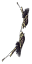 Arma Evo 2